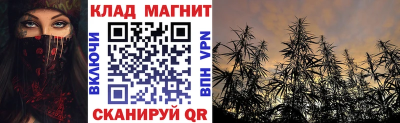 Купить наркотик Мурино Конопля  Cocaine  гидра   Меф  Лсд 25 