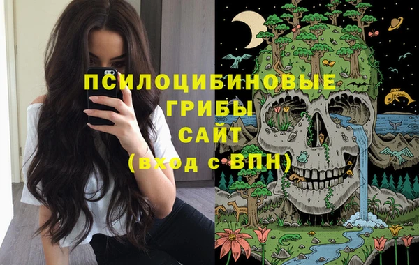 jwh Богородицк