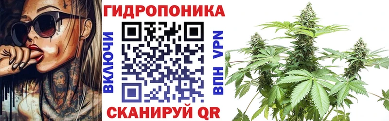 blacksprut tor Мурино Бошки марихуана планчик